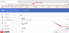 谷歌浏览器怎么设置显示书签-谷歌浏览器设置显示书签的方法