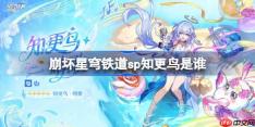 崩坏星穹铁道sp知更鸟是谁-崩坏星穹铁道知更鸟晴歌角色介绍