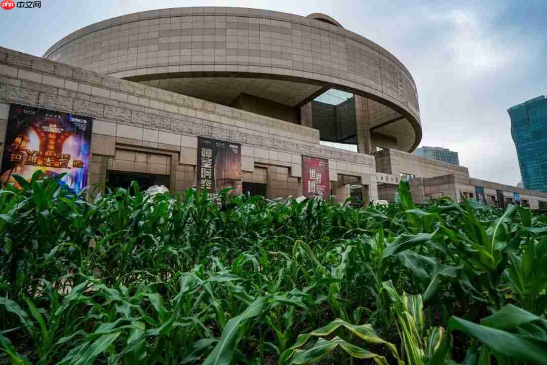 “世界树之巅：美洲古代文明大展”今日开幕，第37届上海旅游节暑期旅游季同步启动