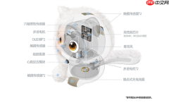 努比亚AI宠物机器人7月17日开售:能认主 会闹情绪