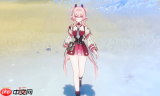 原神莉奈娅圣遗物怎么选