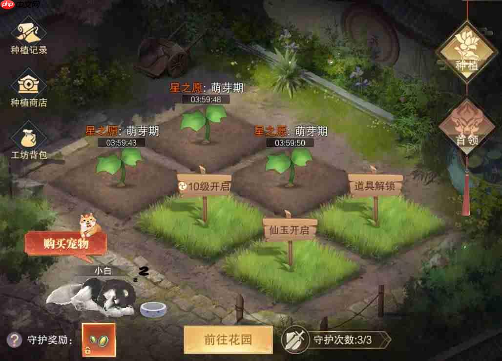 Garden-in怎么解锁无出其右成就