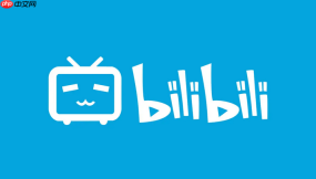 bilibili国际版网址链接入口2026-bilibili国际版官方网站链接入口