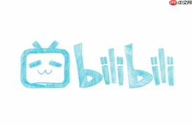 bilibili国际版网页端直达链接2026-bilibili国际版网页版入口