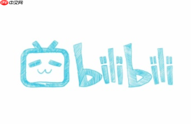bilibili国际版最新入口-bilibili国际版最新通用入口链接
