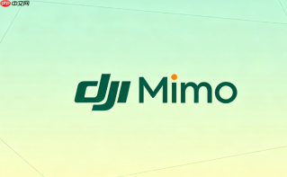 怎样在dji mimo中设置osmo action 4的连拍和录像模式
