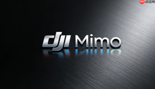 dji mimo怎样将apple watch变成osmo mobile 8的遥控器