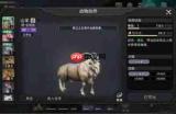荒原曙光如何挑选宠物-荒原曙光宠物选择方法