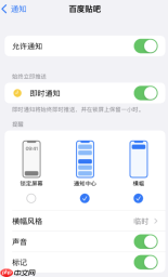 iPhone 单个 App 通知设置页面，显示允许通知、即时通知、横幅、声音和标记开关