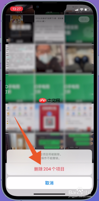 iPhone 最近删除确认菜单显示删除204个项目和取消,证明需要点红色删除按钮完成彻底清空