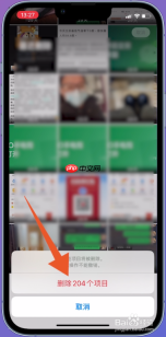 iPhone 最近删除确认菜单显示删除204个项目和取消,证明需要点红色删除按钮完成彻底清空