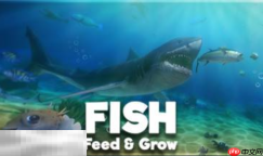 海底大猎杀内置版最新六项修改器 海底大猎杀修改器风灵月影
