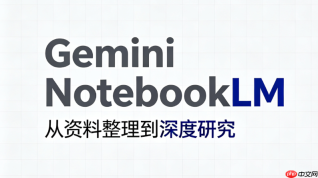 gemini notebook 2.0/3.0版本差异：各档位容量与付费订阅选择【汇总】