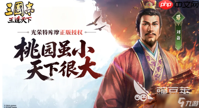 三国志王道天下有什么职业