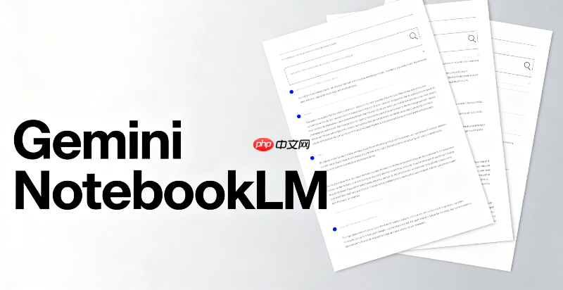 gemini notebook隐藏技巧:特殊格式资料上传要求【技巧】