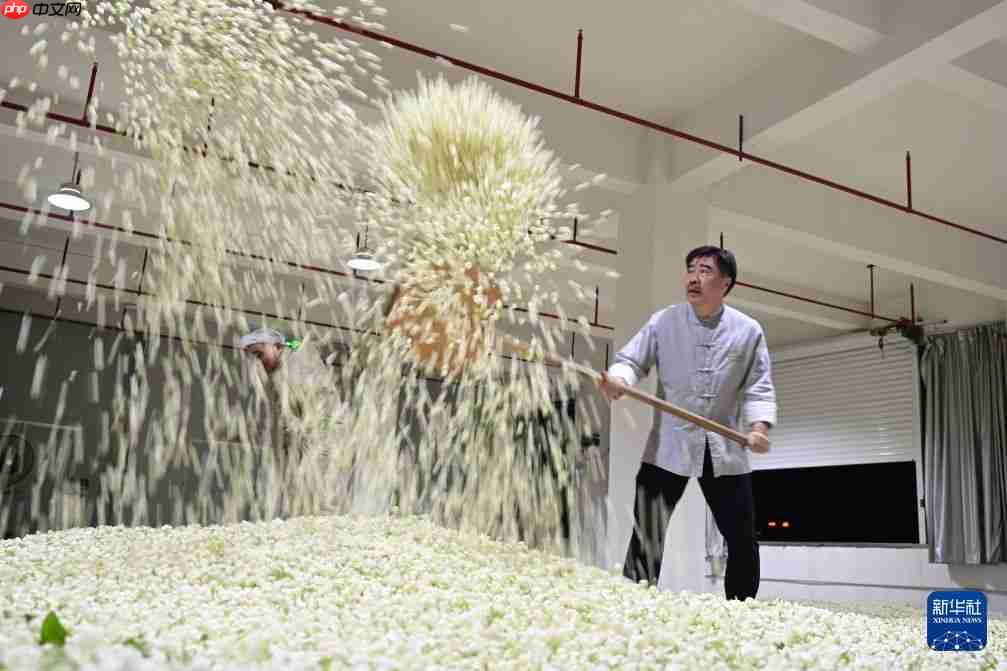 福州:非遗茶香赋能文旅新发展