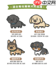 服务犬驯养师训练的犬种范畴有哪些