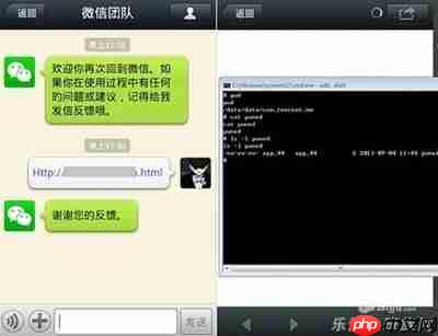 乐清上班族论坛网页版在线入口在哪
