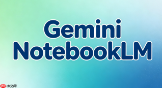 gemini notebook故障排查:资料上传格式要求问题详解【解答】