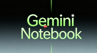 gemini notebook 3.0资料上传格式要求隐藏技巧揭秘【技巧】