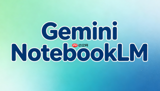 gemini notebook 3.0上传pdf报错？文件大小与文本格式要求【解答】
