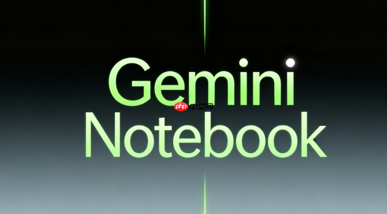 gemini notebook高频功能：资料上传格式要求核心点【汇总】