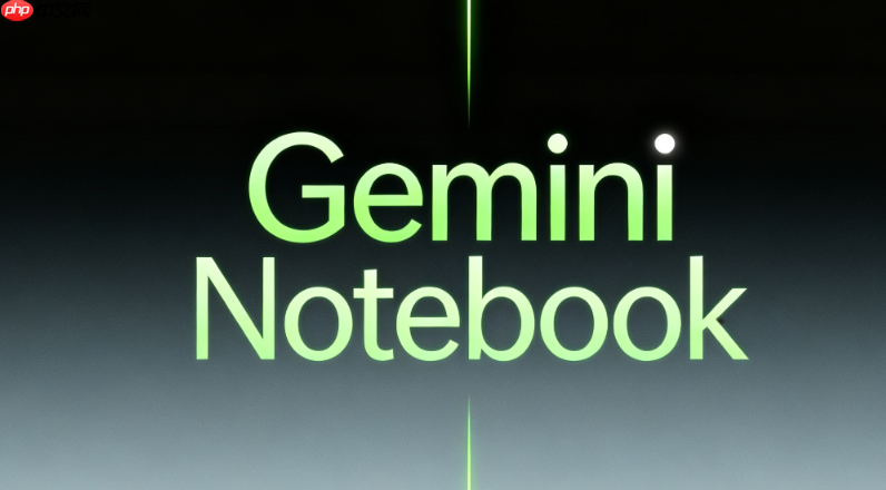 gemini notebook 2.5/3.1核心功能:资料解析与精准ai问答【说明】