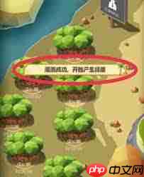 碳碳岛如何浇水