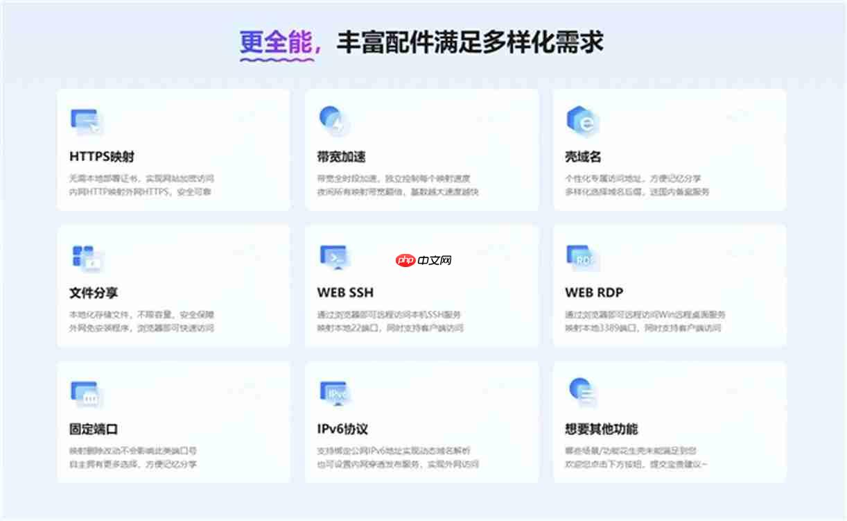 告别公网IP依赖,花生壳内网穿透如何重塑远程访问新范式