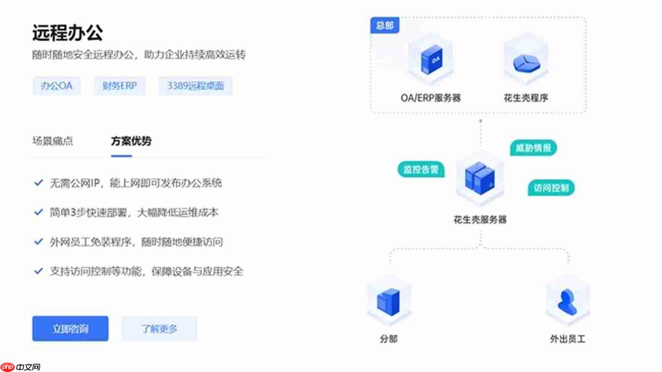 告别公网IP依赖,花生壳内网穿透如何重塑远程访问新范式