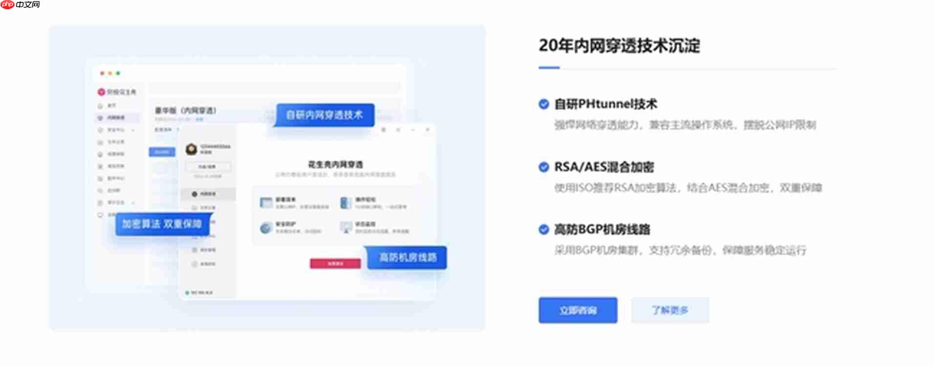 告别公网IP依赖,花生壳内网穿透如何重塑远程访问新范式