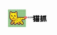 猫抓怎么抓取完整视频?猫抓抓取完整视频的操作步骤