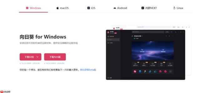 向日葵 vs ToDesk：哪款远程控制更适合长期使用？全面对比评测