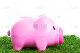 红色沙漠如何获取黄金猪存钱罐