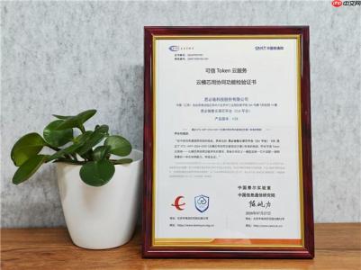 首批！思必驰荣获中国信通院“可信Token云服务 云模芯用协同功能检验证书”