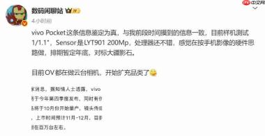 vivo入局云台相机赛道!Pocket旗舰蓄势待发,四季度上市对标大疆