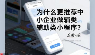 为什么更推荐中小企业做辅助类小程序?