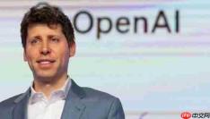 OpenAI CEO泼冷水:AI不会让人少干活 反而加剧996