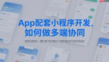 App配套小程序开发,如何做多端协同