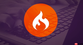 codeigniter多语言怎么在视图里直接调用翻译