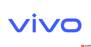 vivo互传为何电脑端不支持mac系统