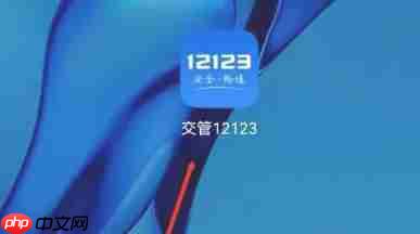 交管12123怎么评分-交管12123评分的方法
