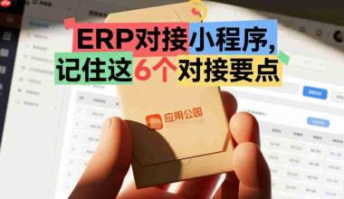 ERP对接小程序,记住这6个对接要点