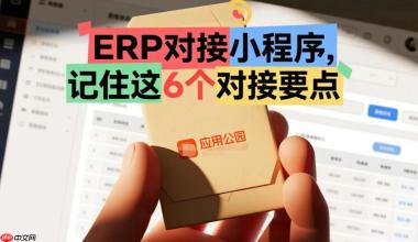 ERP对接小程序,记住这6个对接要点