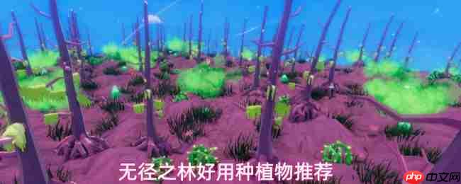 无径之林哪些物品值得种植好用种植物推荐