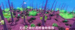 无径之林哪些物品值得种植好用种植物推荐