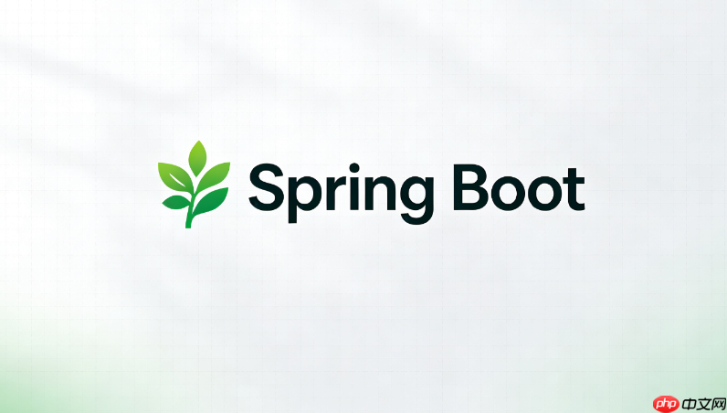 spring boot安装后启动不了常见原因有哪些