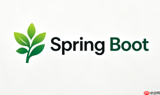 Spring Boot安装环境检查命令有哪些实用的