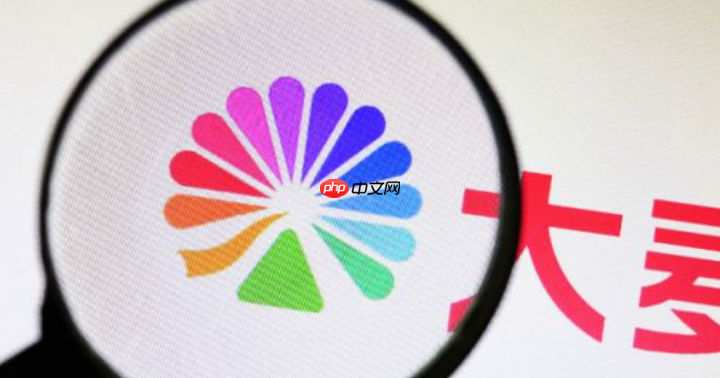 演唱会门票秒光？大麦网抢票实用技巧分享
