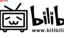 bilibili网页版官网地址_哔哩哔哩网页版入口官网